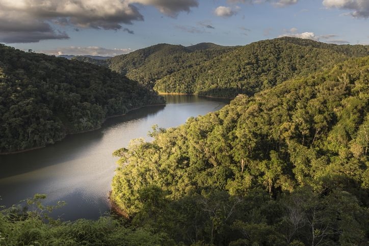 Brazil loses natural vegetation equivalent to the size of Bolivia in 40 years