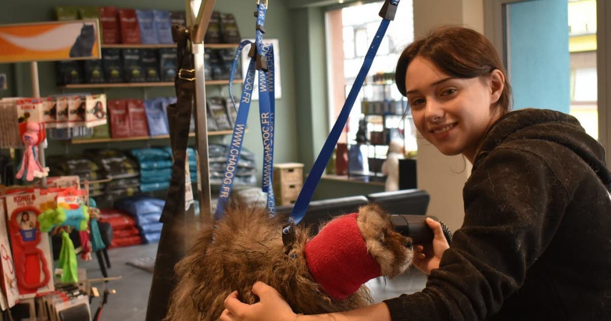 Soufflenheim. She opens “Toutouffus,” her own grooming salon.