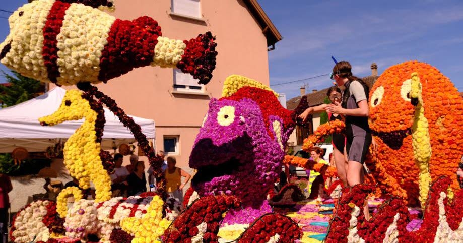 Ocio. Nuestra selección de excursiones para este fin de semana en la región de Molsheim-Obernai.