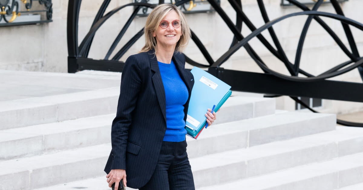 Agricultural Law: Pannier-Runacher opposes the return of neonicotinoids but denounces parliamentary obstruction