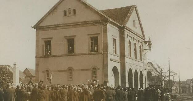 Вальфф. В 1921 году афера спасла урожай от нашествия грызунов.