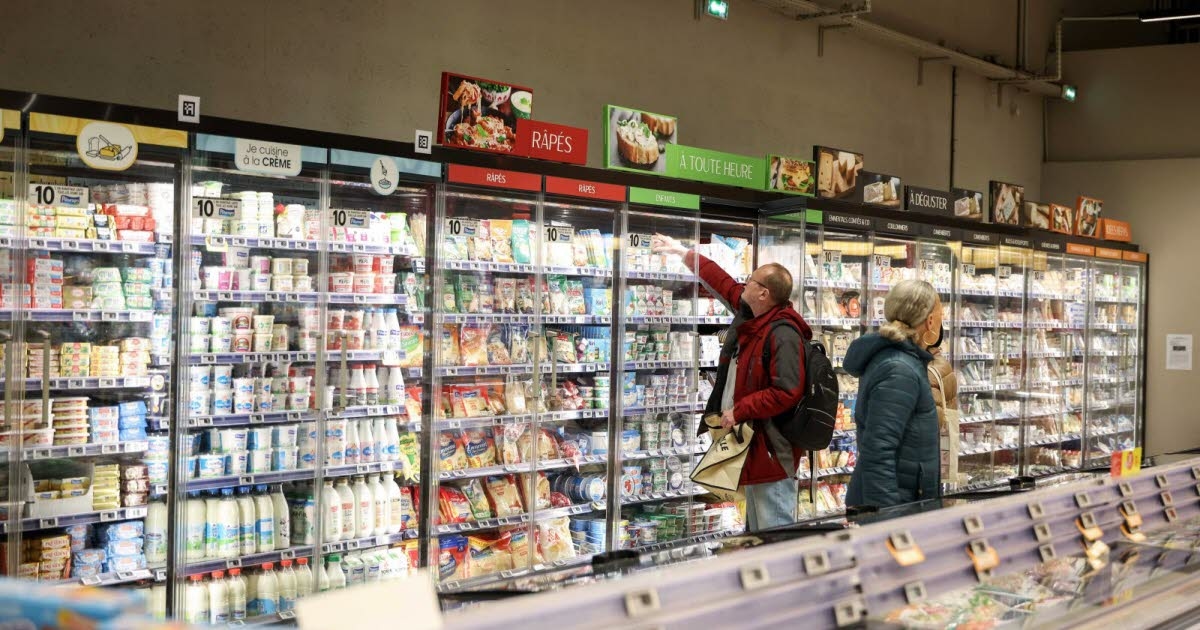 Consumption. Camemberts, goat cheeses, bries: more than 40 cheeses recalled due to suspected listeria