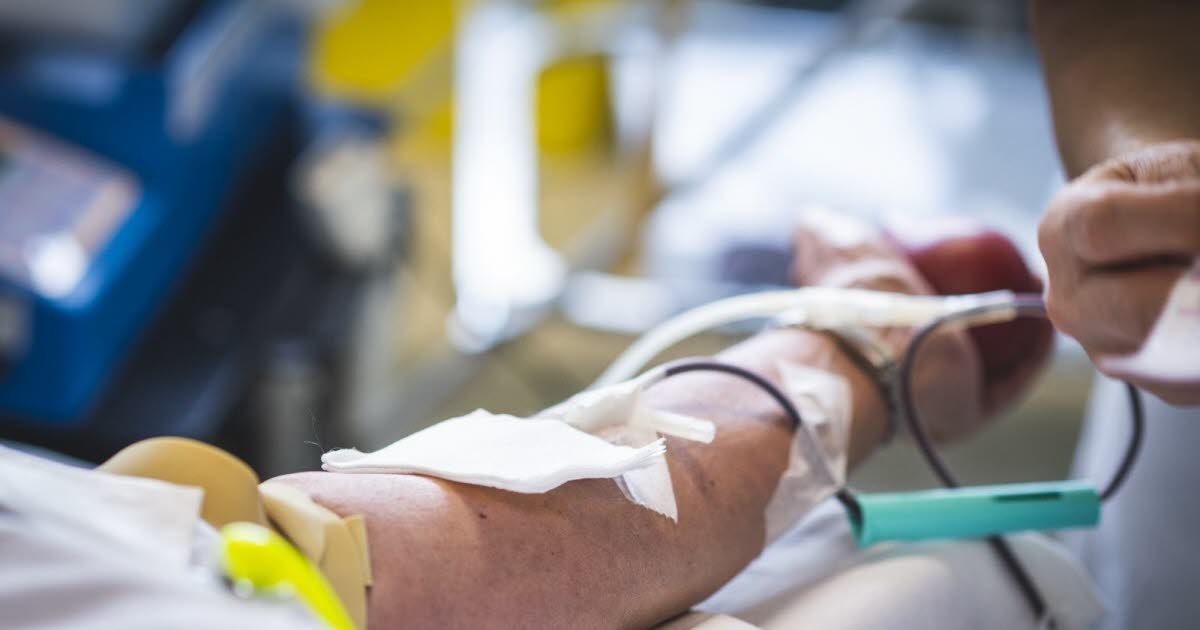 Saúde. Doação de sangue: dados que mencionem relações homossexuais serão removidos em breve