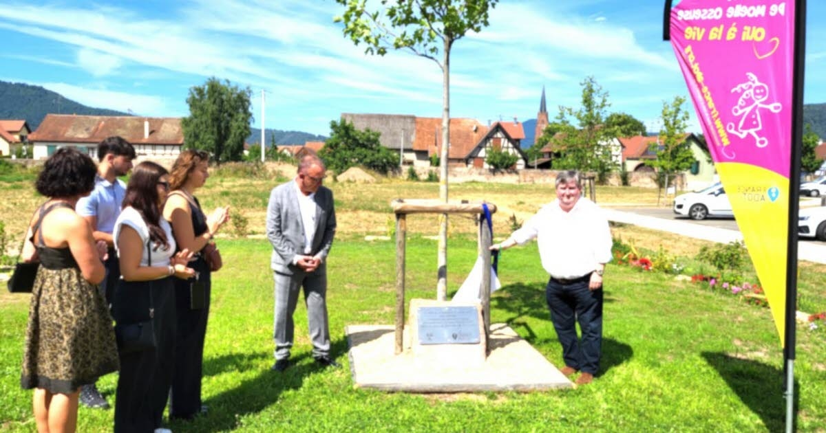 Scherwiller. Una plaza nombrada en memoria del exdiputado Jean-Philippe Hihn.