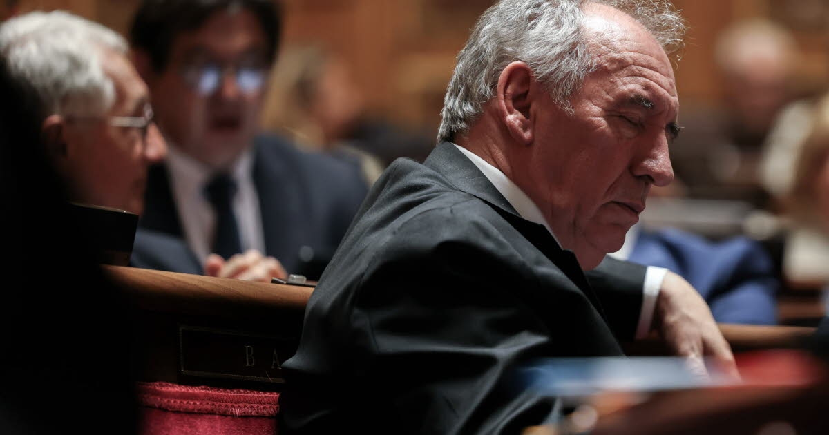 Health: François Bayrou's budgetary guidelines worry the medical world