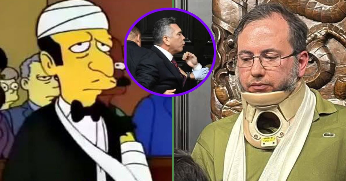 Faranno lezione al Senato per dire "Soup à l'Oignon"