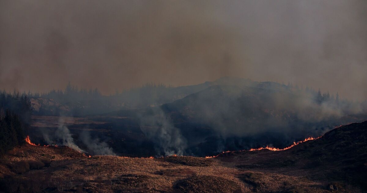 Huge part of UK under 'very high danger' wildfire warning - 'exercise extreme caution'