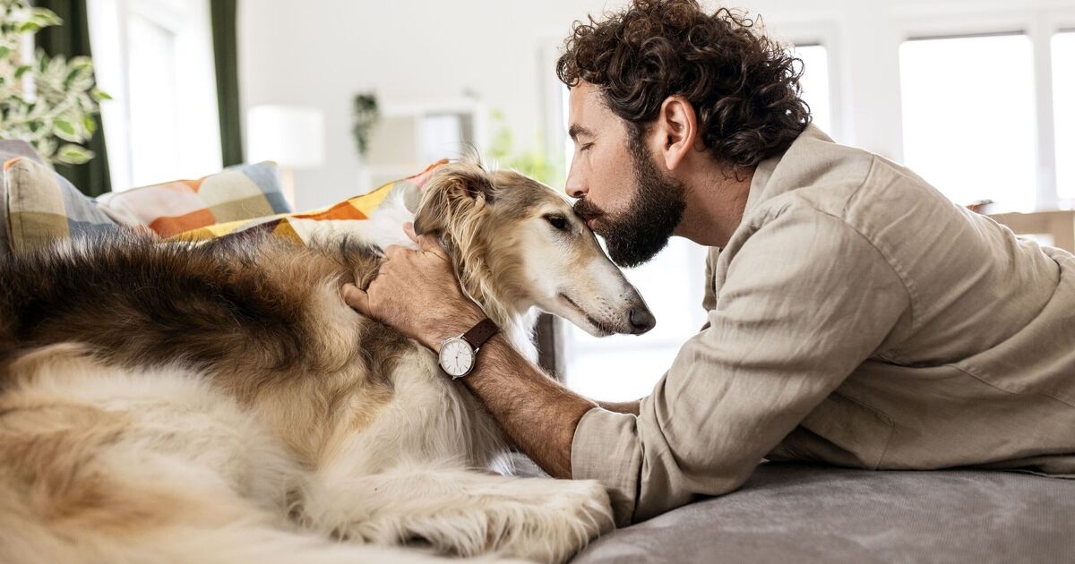 Animal expert shares one time you should stop giving dog kisses