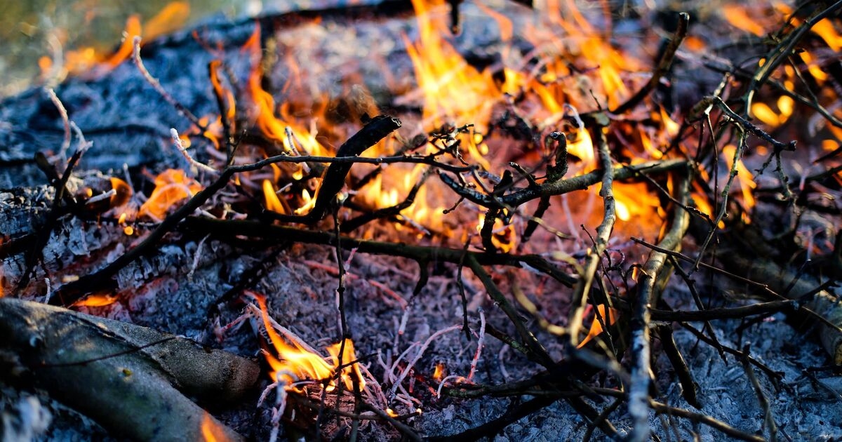 Britten krijgen boete van £50.000 voor Bonfire Night