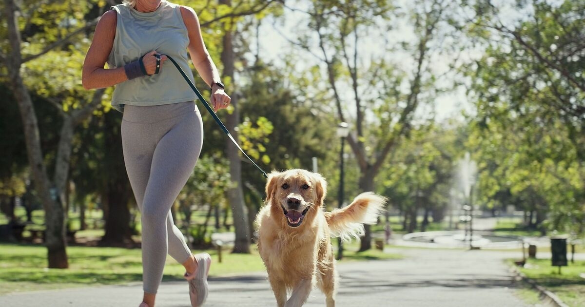 Köpek uzmanı, sıcak günlerde köpeğinizle yürüyüşe çıkmanın güvenli olup olmadığını kontrol etmek için 'yedi saniye kuralı'nı paylaşıyor