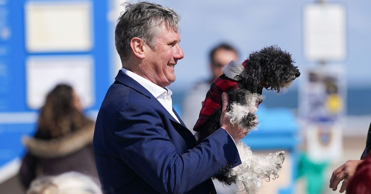 Indignazione per la morte dei cani in condizioni deplorevoli nei cosiddetti centri di soccorso