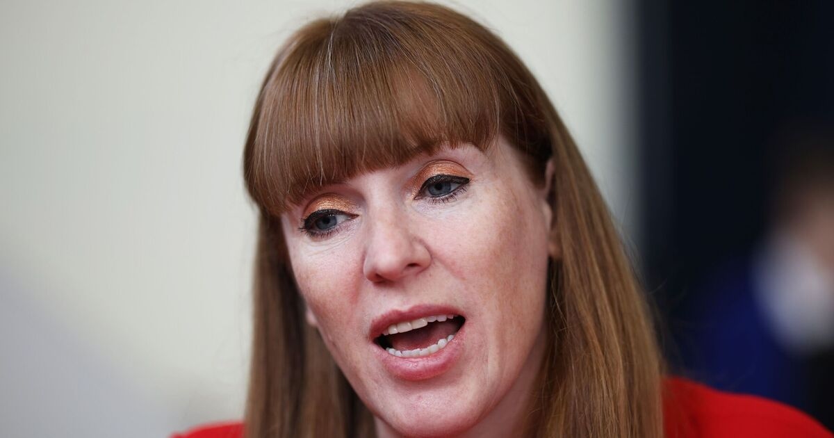 Angela Rayners neue Arbeitsgesetze werden britische Unternehmen und die britische Wirtschaft „verwüsten“.