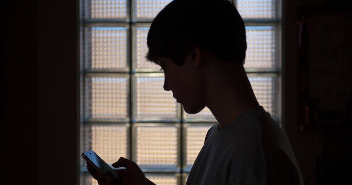 Los británicos afirman que las normas para mantener a los niños fuera de los sitios web para adultos no funcionarán