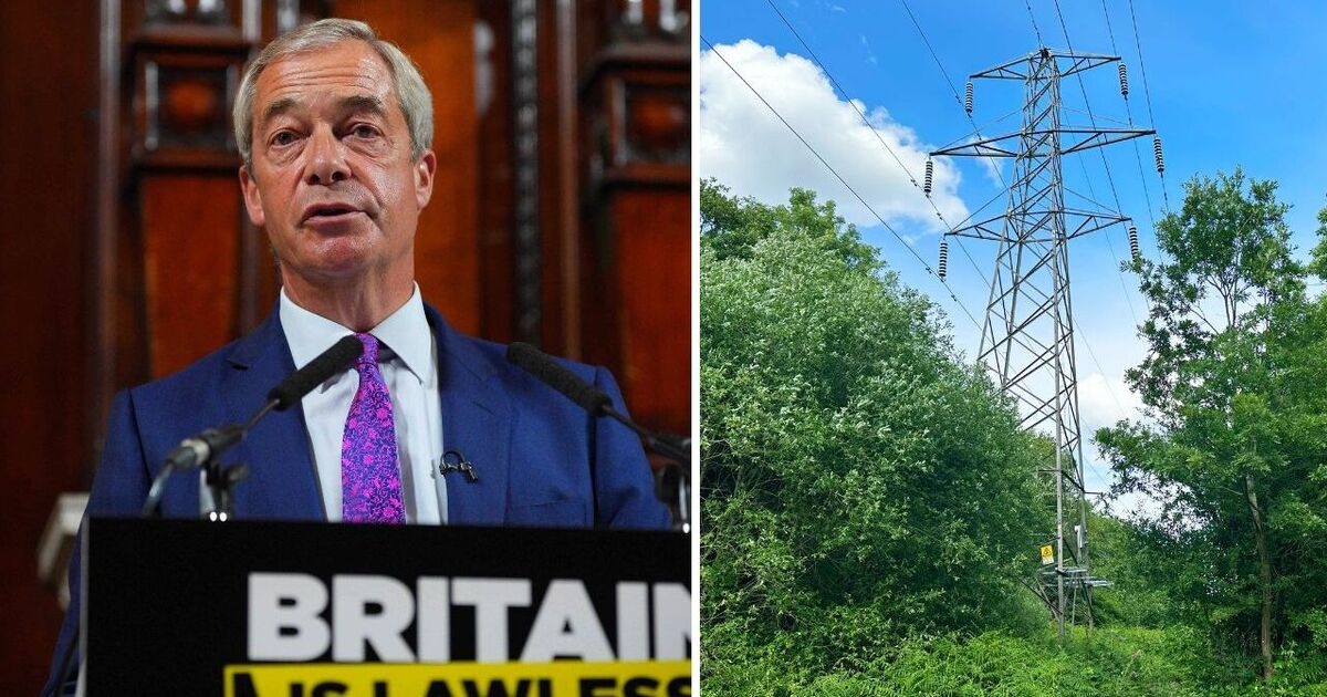 Reform UK could surge in countryside where hated pylons being planned
