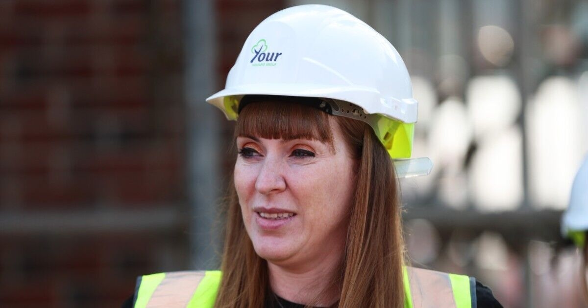 „Erzheuchlerin“ Angela Rayner wegen des Verkaufs von Kleingärten scharf kritisiert