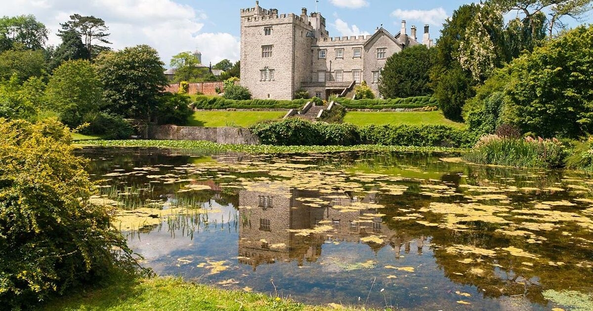 Trzywyrazowa odpowiedź Nigela Farage’a na umieszczenie przez National Trust wegańskich tamponów w męskich toaletach