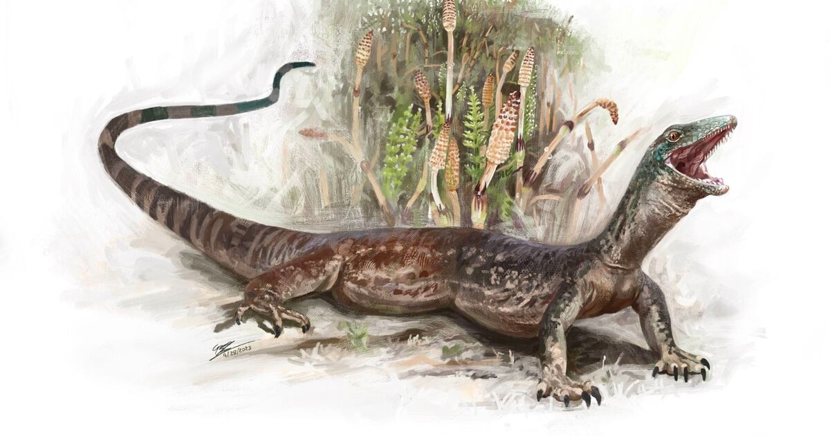Svolta archeologica: scoperta nel Regno Unito una nuova specie di dinosauro "straordinaria"