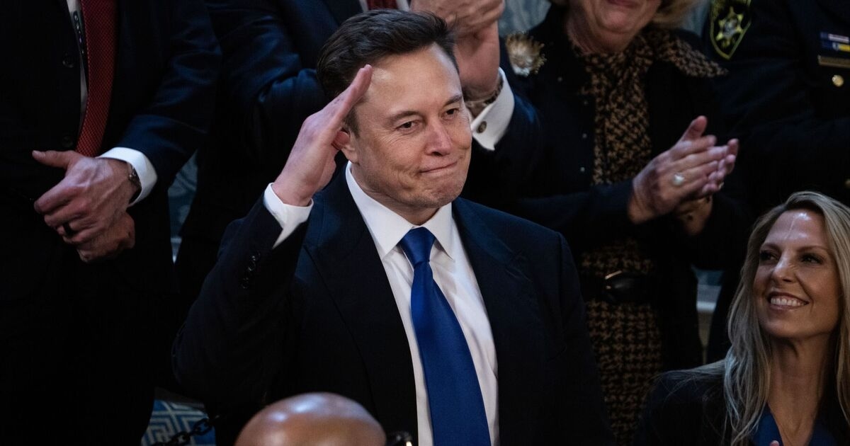 Elon Musk burns his final bridge with Trump by launching rival 'America Party'