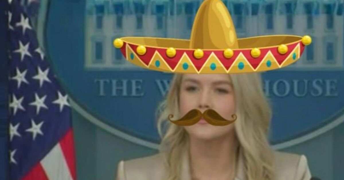 Democratas ridicularizam Karoline Leavitt com foto de sombrero enquanto as tensões da paralisação explodem