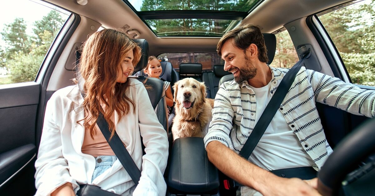 Drivers warned over 7 popular car accessories that could invalidate insurance