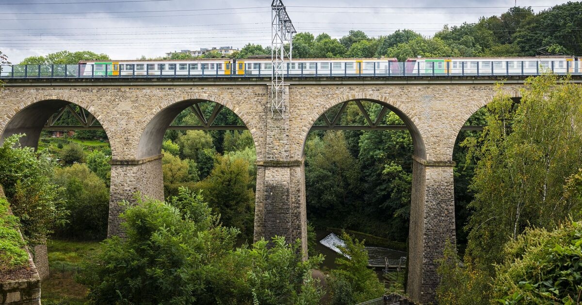 Beautiful 3-hour train journey between 2 European capitals full of ‘autumnal colour’