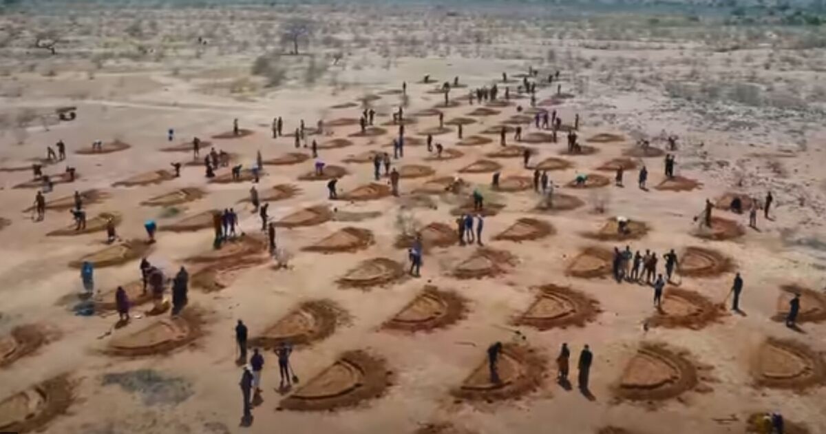 The African country using refugees to turn Sahara Desert green