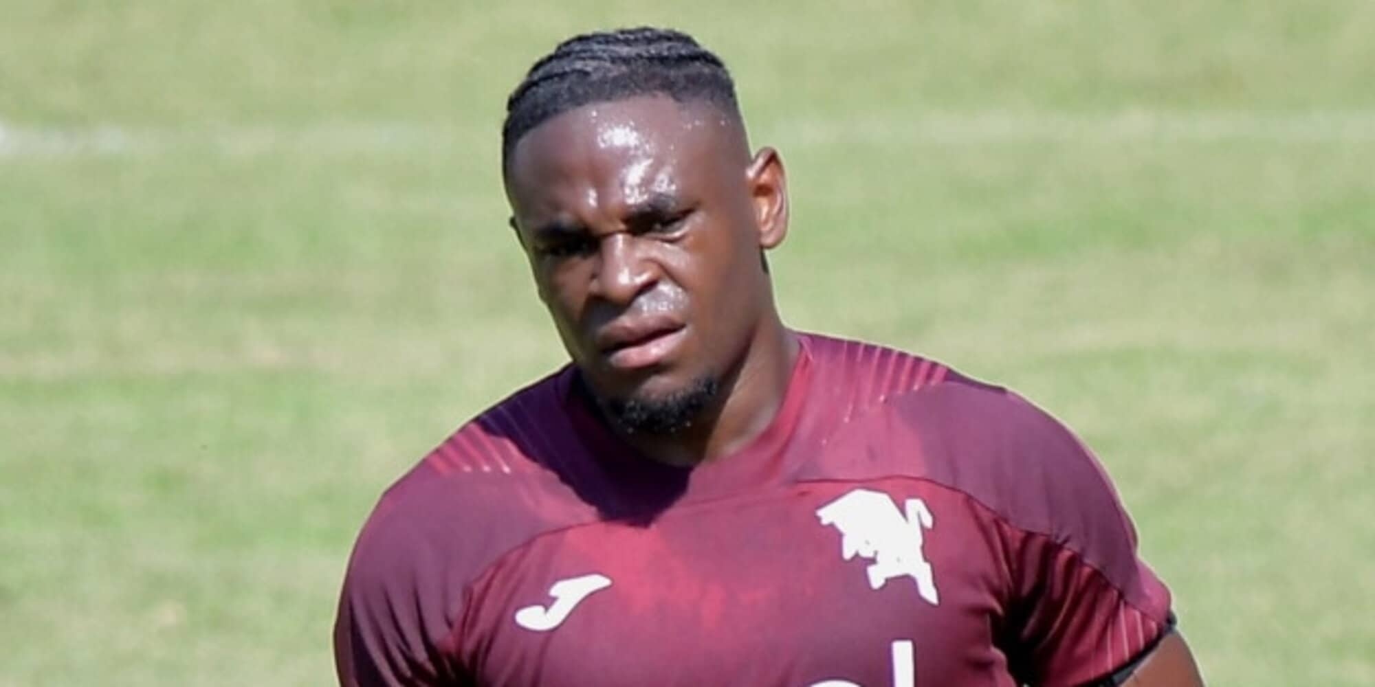 "Zapata en Simeone: Torino's aanvalsduo gaat werken."<br />
