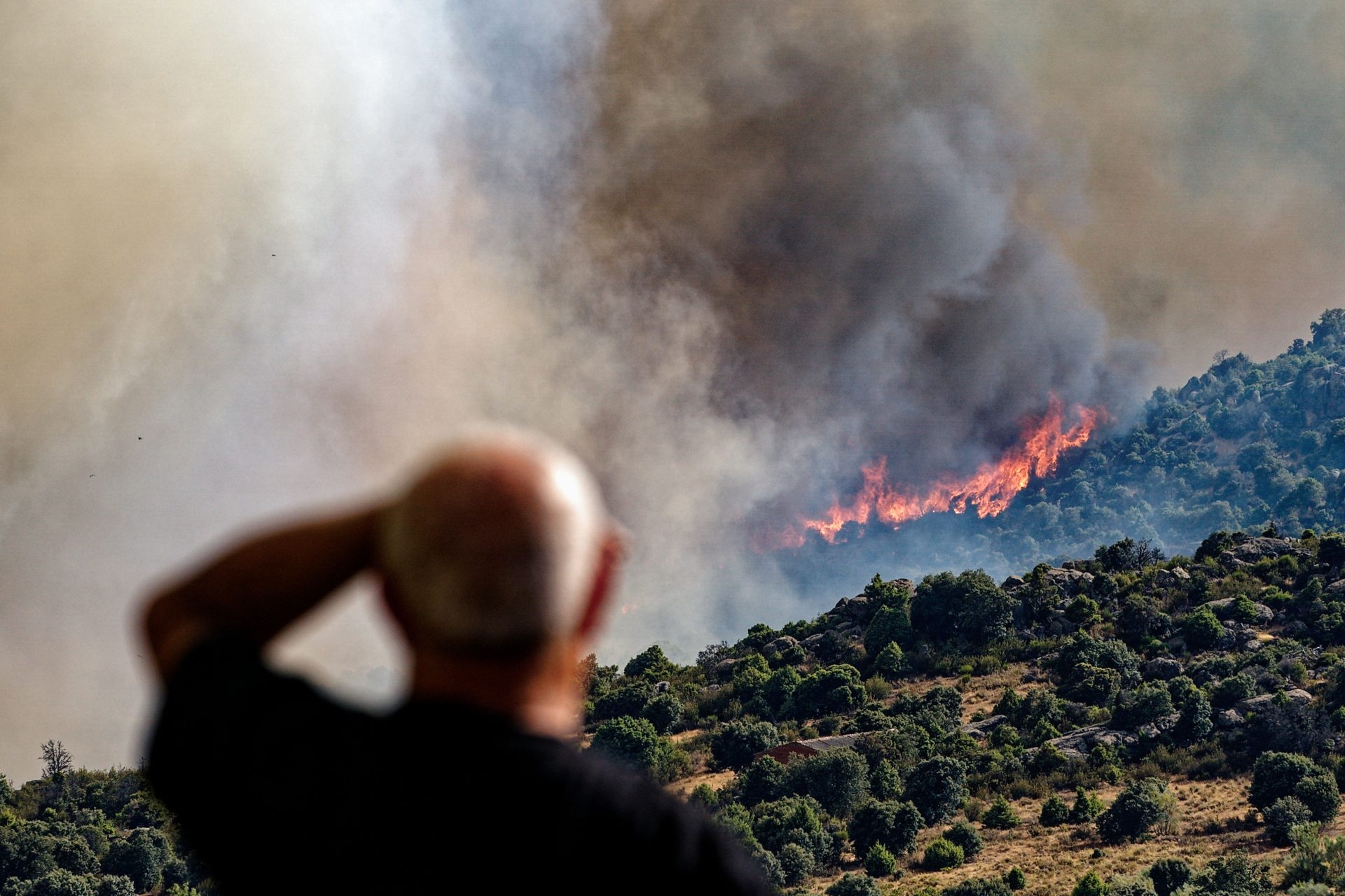 Definiscono un nuovo modello di resilienza delle foreste contro gli incendi boschivi.