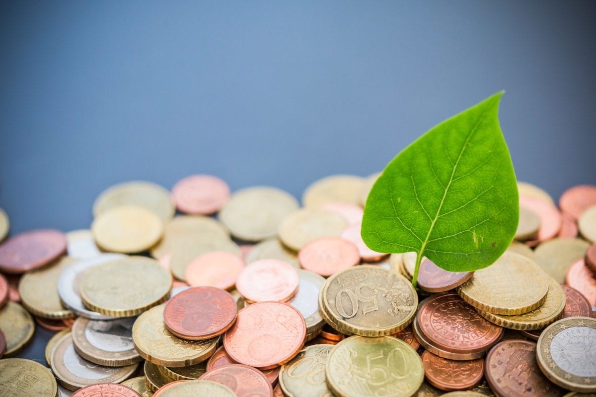 ESG-Nachhaltiges Investieren mit BBVA in Europa: Investieren Sie mit Bewusstsein und Gewinnpotenzial! Die Zukunft ist grün