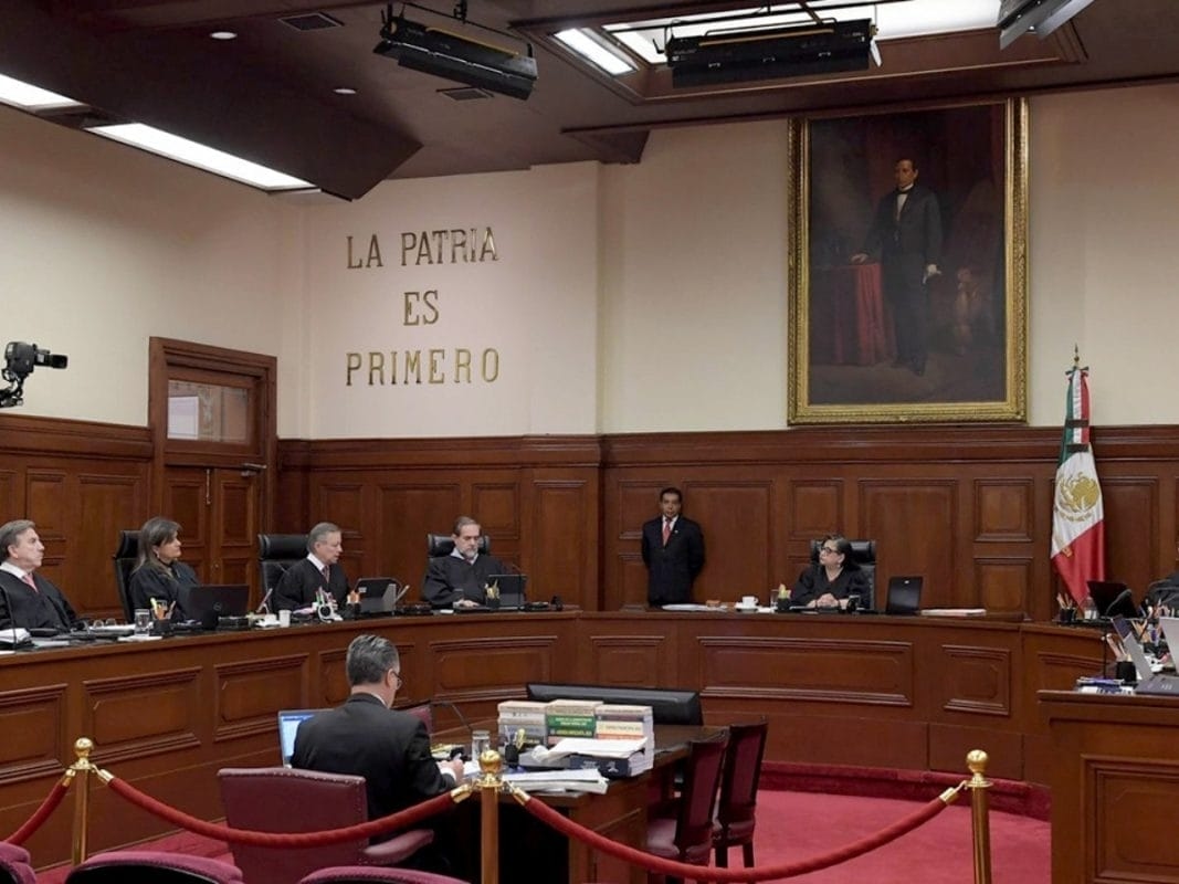 Legal Activity Focuses on High-Profile Criminal Cases and Systemic Reforms; Little New Development in Personal Injury and Divorce