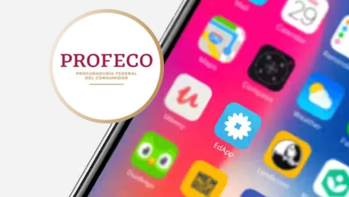 Cómo elegir las mejores apps para el regreso a clases según la Profeco