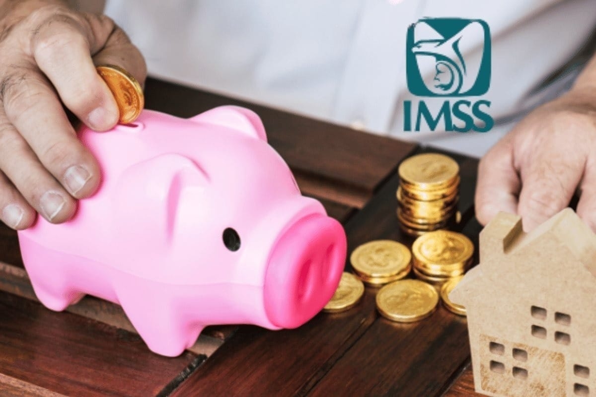 IMSS katkı haftalarınızı nasıl geri alabilir ve emekli maaşınızı nasıl koruyabilirsiniz?