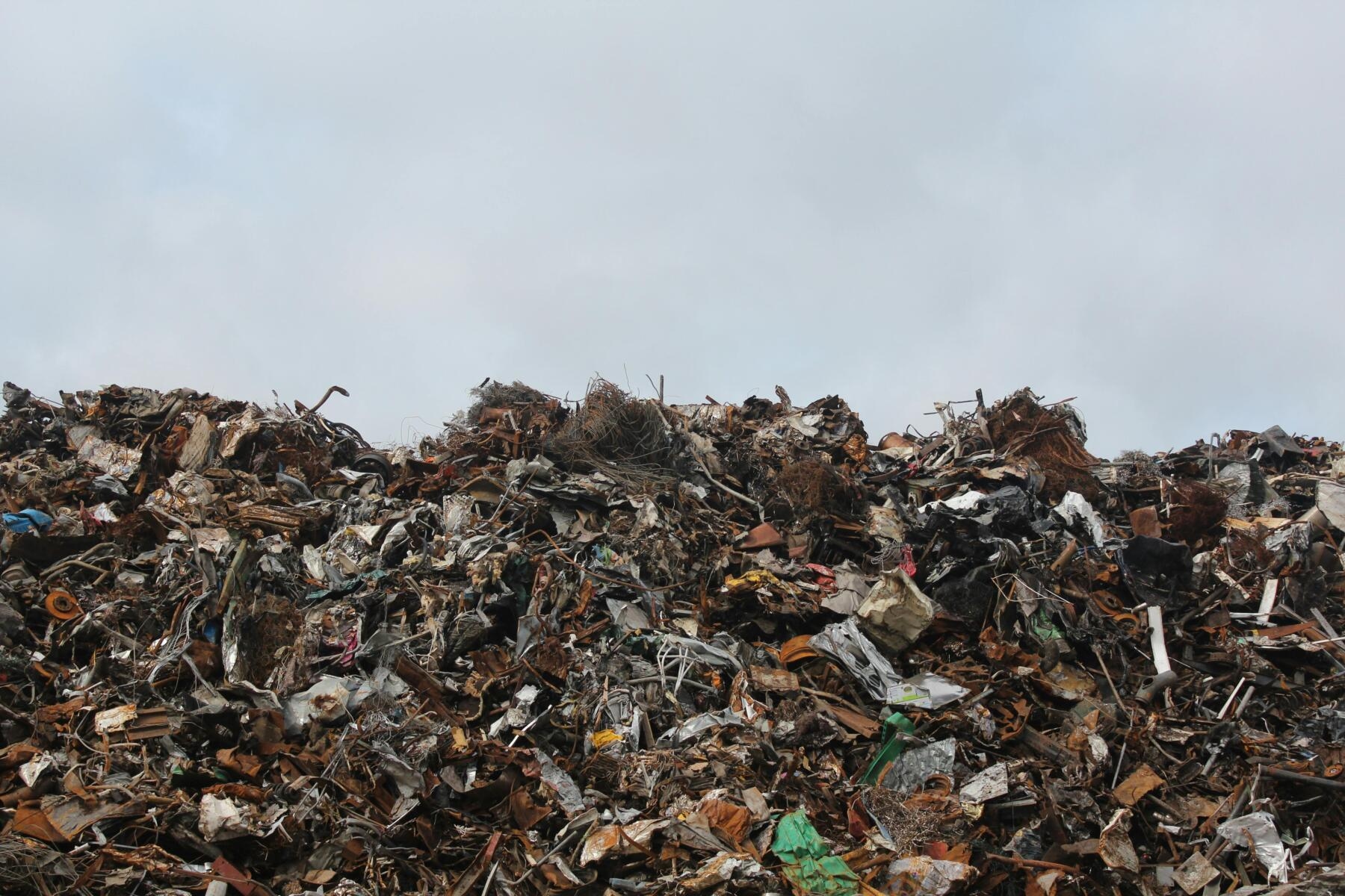 Omnisyst verwerft een belang in The Nest Company om te profiteren van industriële bijproducten en afval.