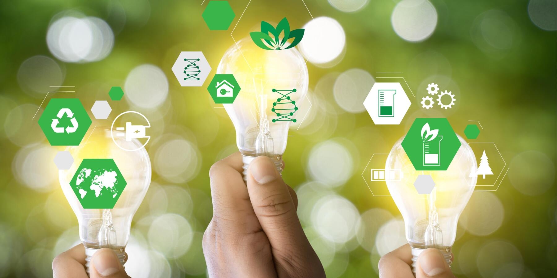 Führende Unternehmen und KMU: Der grüne Wandel erfordert ein gemeinsames Ökosystem aus Werten und Betriebsmodellen.