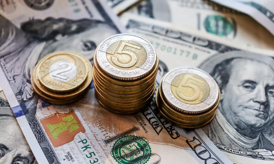 L'euro si sta svalutando rispetto allo zloty. Il dollaro ha concluso il suo rafforzamento correttivo?