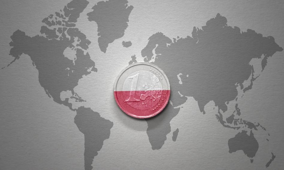 Polen in de eurozone? Domański sprak over het werk