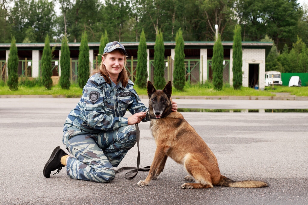 O melhor amigo do homem a serviço da lei: um inspetor de cães fala sobre cães policiais de Novgorod