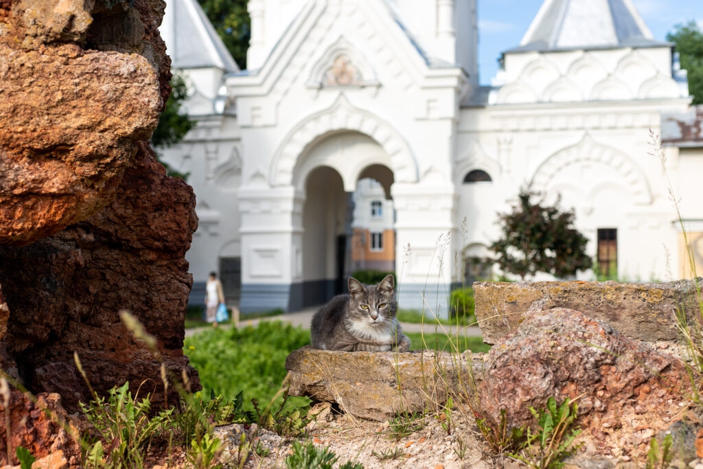 O Museu de Cultura Artística da Terra de Novgorod abre novamente suas portas gratuitamente às sextas-feiras