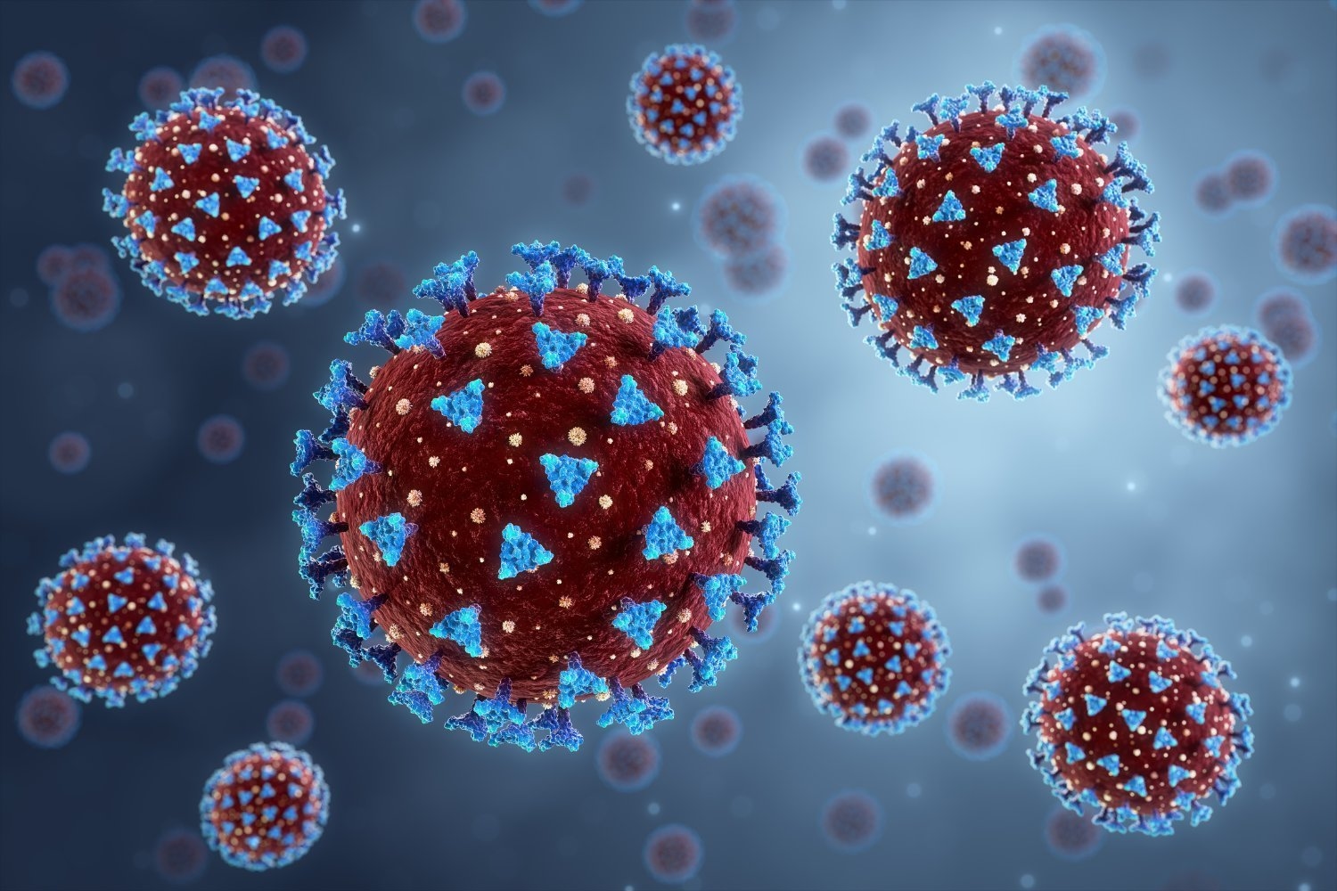 Scientists Discover New Coronavirus With Potential to Infect Humans: What to Know