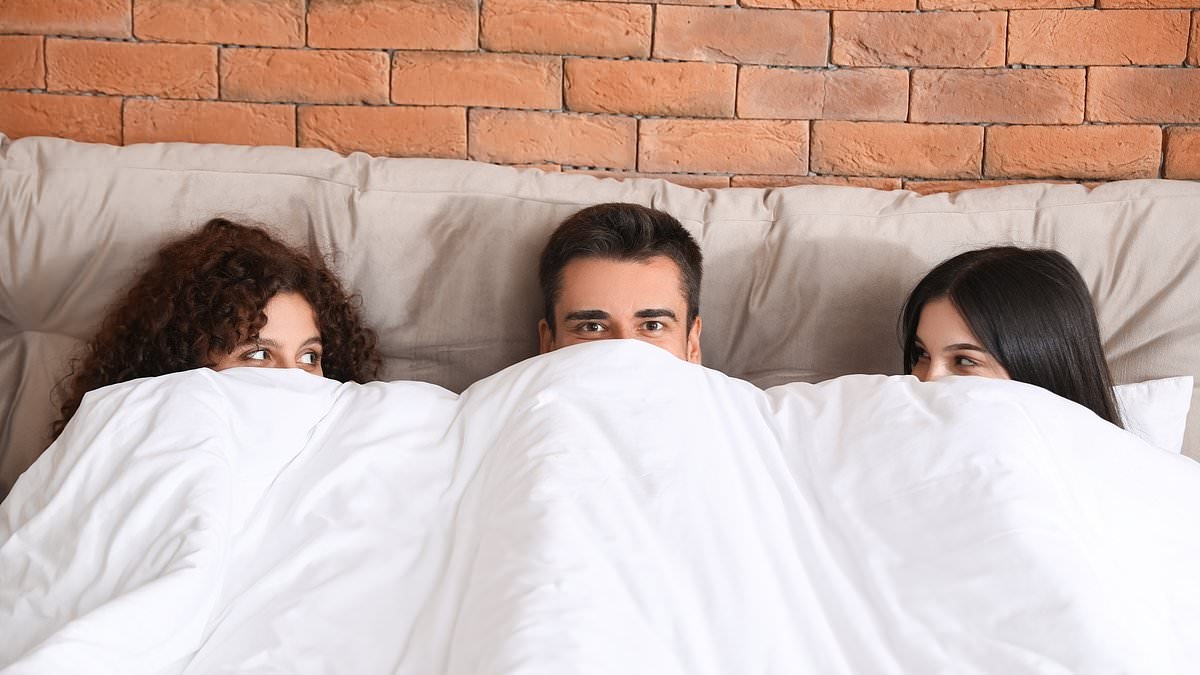 Me, You, Them by Evie Sage: I don't get jealous watching my husband have sex with other women. I find it attractive!