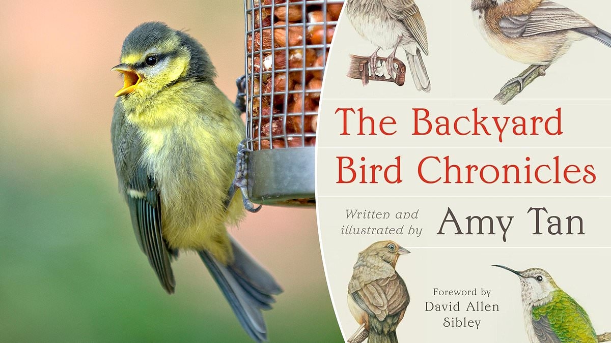 The Backyard Bird Chronicles by Amy Tan: Why you should season your bird feed with red-hot pepper