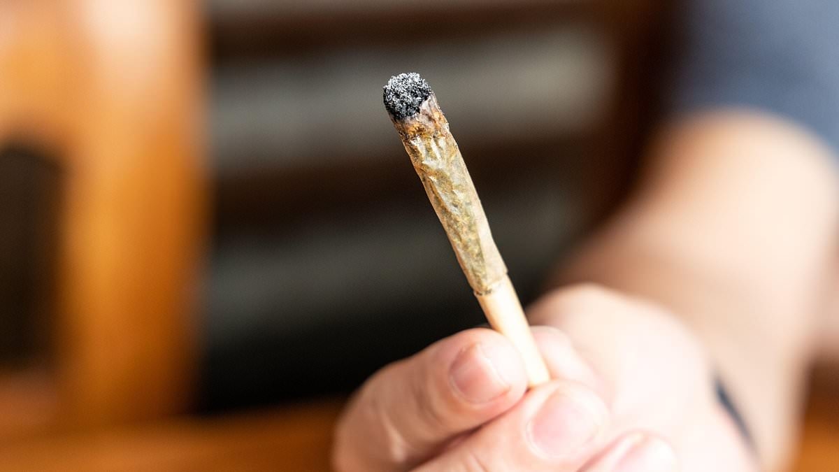 Surge in cannabis-induced psychotic episodes across the UK as potency of strains has increased