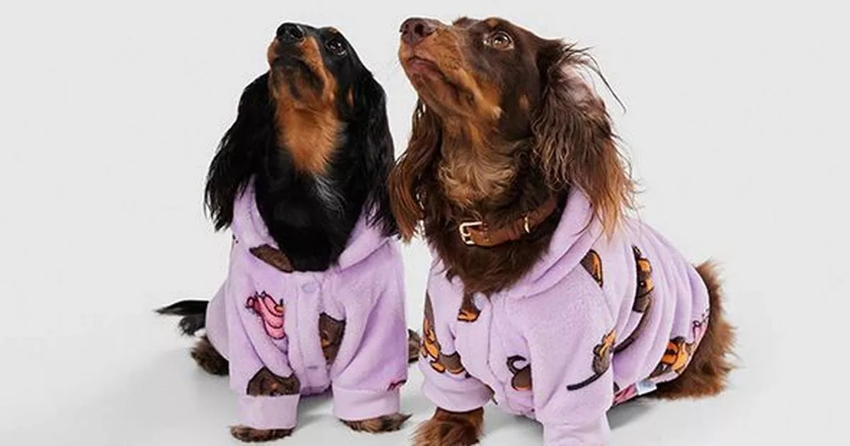 'Soft and warm' £29 dog Oodie is perfect for keeping your pup warm this autumn