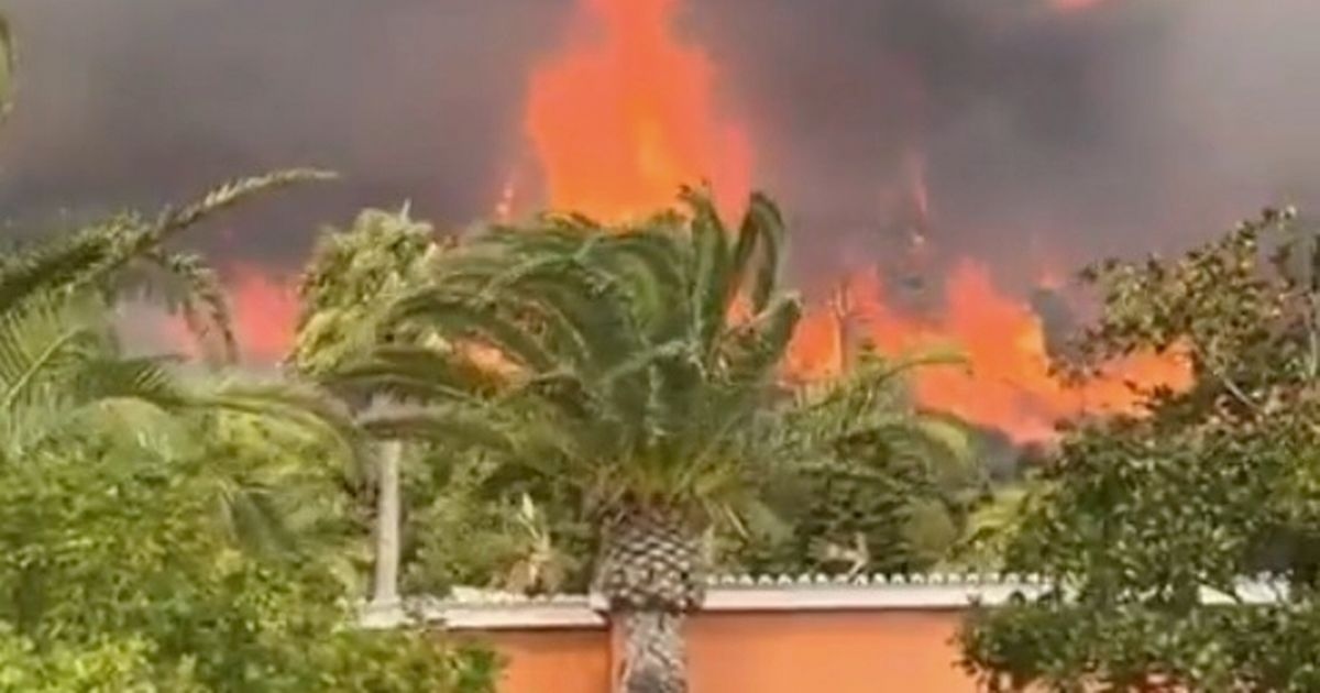 Cadiz LIVE: Hotels en bars in Spanje geëvacueerd na bosbrand bij badplaatsen