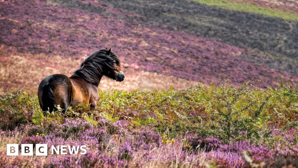 Nature festival launched at national Park