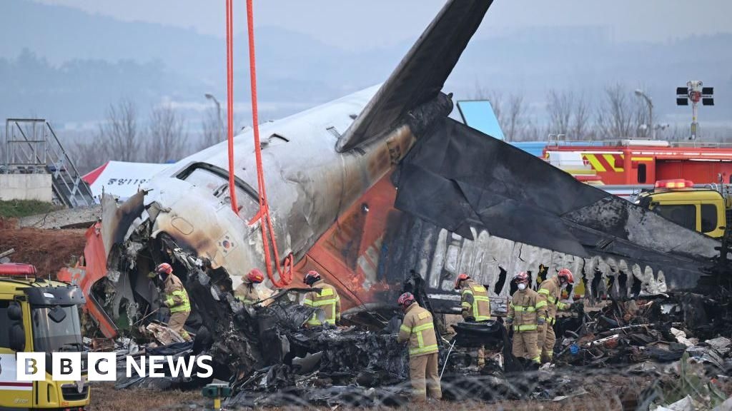 Le famiglie delle vittime dell'incidente aereo presentano una denuncia contro l'amministratore delegato della Jeju Air