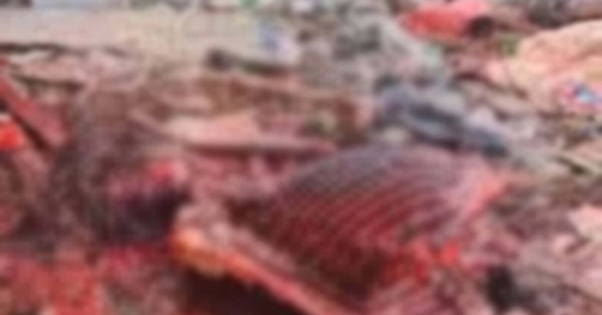 Red-handed attempt at horse slaughter in Izmir