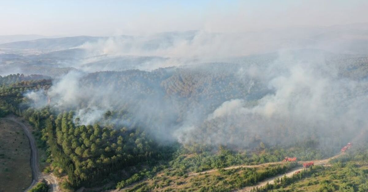 5 people detained in relation to forest fires in Balıkesir
