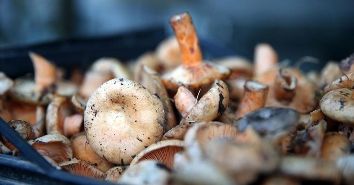 Pas op! Onbewust consumeren leidt tot de dood.