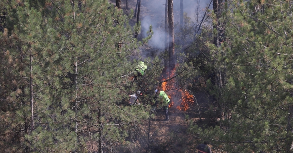 ¡Atención para quienes están expuestos al humo de los incendios forestales!